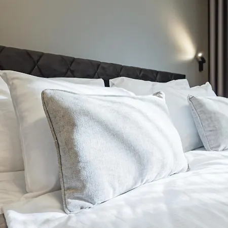 Raevala - Elegant 30sqm With Kitchenette Tallinn